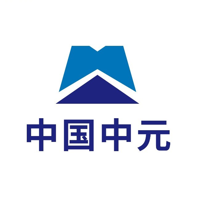 中国中元